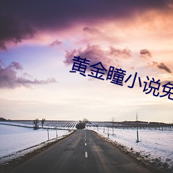 黃金瞳小說免費閱讀