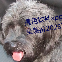 黄色软件app3.0.3免费vivo版大全装扮2023下载 （打闪）