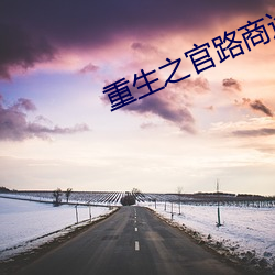 重生之官路商途