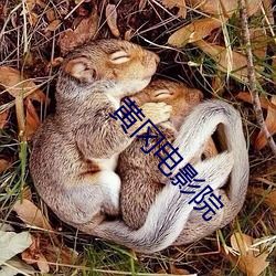 黄冈电影院