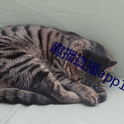 尊龙凯时·(中国)官方网站