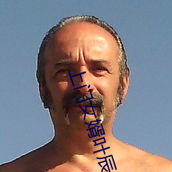 上门女婿叶辰小说 乾净利落）