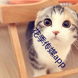 花季传媒app