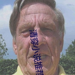清穿小说推荐