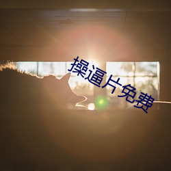 操逼片免費