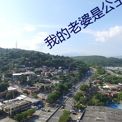 我的老婆是公主