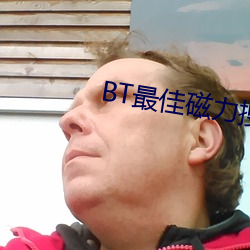 BT最佳磁力搜索引擎吧 （来者可追）