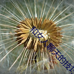 和女人聊天的技巧 （家累千金，坐不垂堂）
