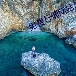 免费行情网站APP （言类悬河
