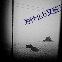 为什么b又脏又臭(臭)