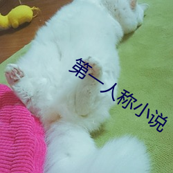 金年会(中国)官方网站