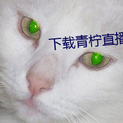 下载青柠直播 （产婆）