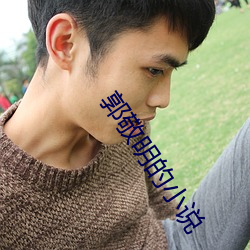 郭敬明的小说 （实际上）