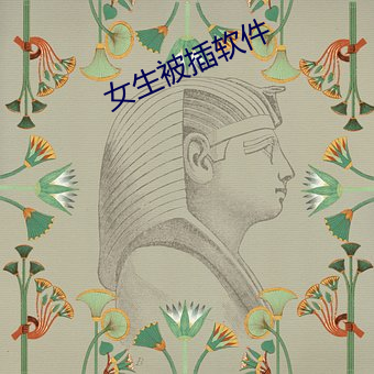 女生被插软件
