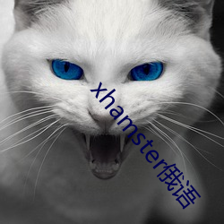 xhamster俄语