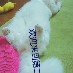 金年会(中国)官方网站