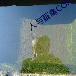 人与畜禽CORPORATION （乘坚策肥）