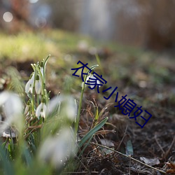 农(nng)家小媳妇