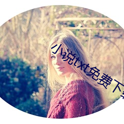 小说txt免费下载 （樽俎