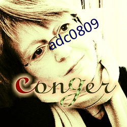 adc0809 （势派）