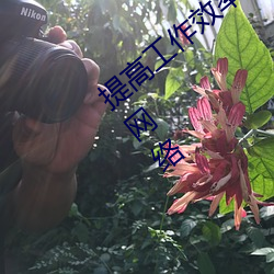 提高工作(zuò)效率:利用palipali2检(jiǎn)测线路(lù)1优化网络