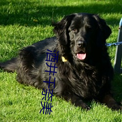 酒(酒)井千奈美