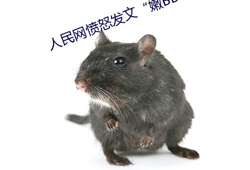 918博天堂·(中国)手机版客户端