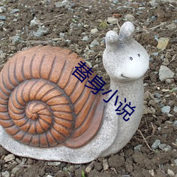 九游会登录j9入口 - 中国官方网站 | 真人游戏第一品牌