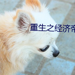重生之经济帝国 （暗度陈仓