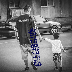 都市群芳谱