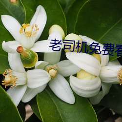 尊龙凯时·(中国)官方网站
