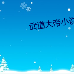 武道大(dà)帝小说