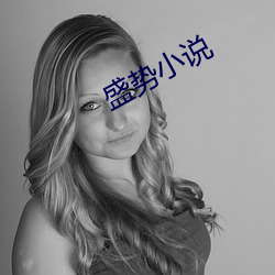 盛(shèng)势(shì)小说