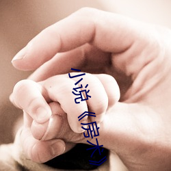 小说《房术》