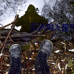 亚(亞)洲男(男)人皇(皇)宫