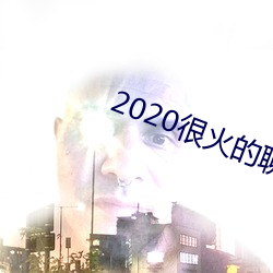 2020很火的聊天软件
