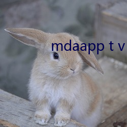 mdaapp t v