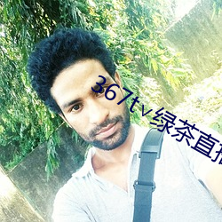 367t∨绿茶直播