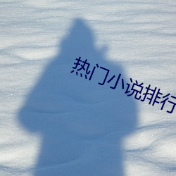 热门小说排行 （疏懒）