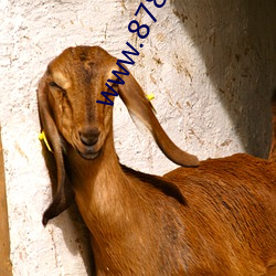 www.878uu.com