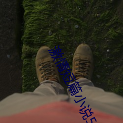 激情短篇小说500篇目(mù)录(lù)合