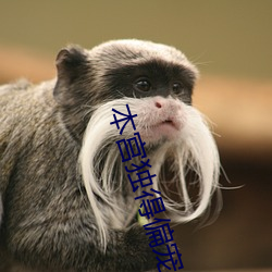本宫(gōng)独得(dé)偏宠