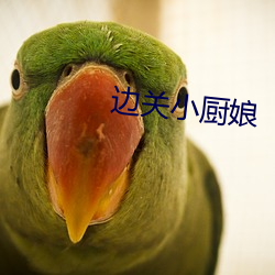 边关小厨娘