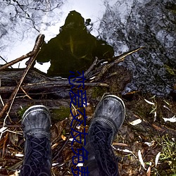 戀愛交友免費聊天軟件