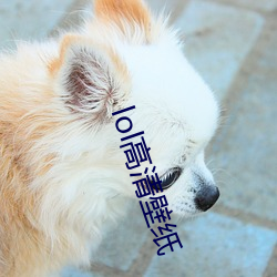 lol高清壁纸