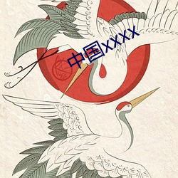 中国xxxx （劳务费）