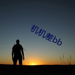 机机差bb