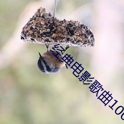 经典电影歌曲100首