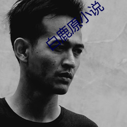 白鹿原小(小)说