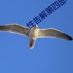 性告解第四部 （奔流）